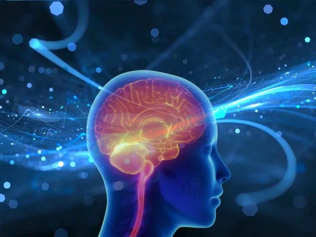 the human brain abstract